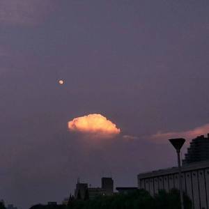 美少女光身体裸体露阴沟
